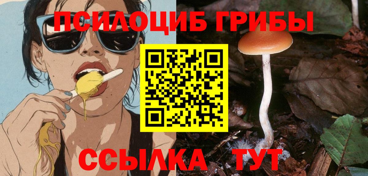 Галлюциногенные грибы GOLDEN TEACHER  Галлюциногенные грибы Psilocybine cubensis  Заринск  Вход с VPN 